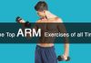 Arm Workouts
