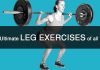 Best Leg Workouts