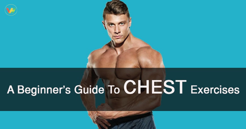 beginner chest workout