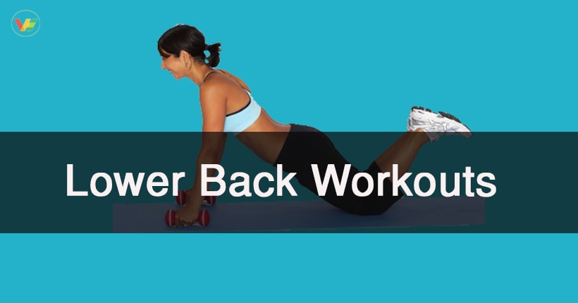 lower back workouts
