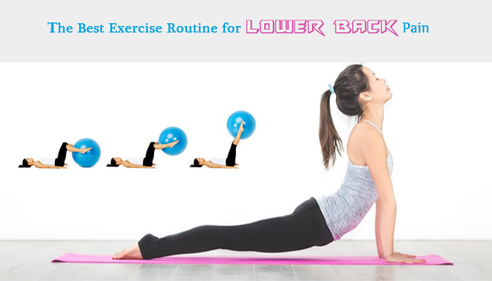 lower back workouts